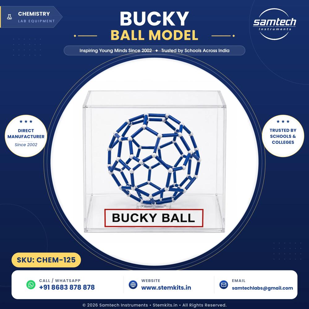 Bucky Ball Model