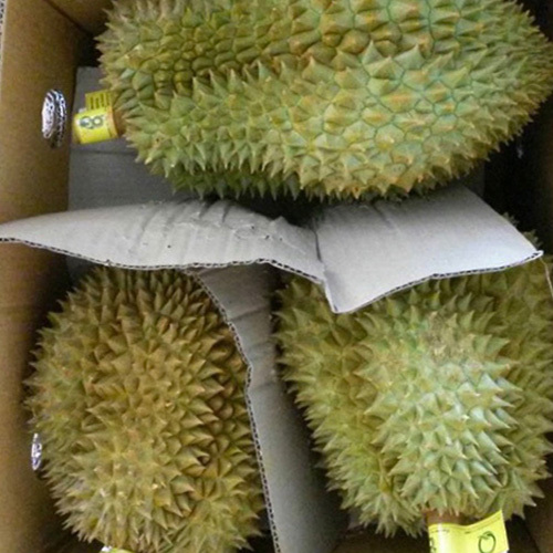 Fresh Durian