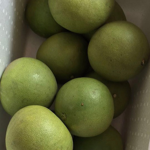 Fresh Pomelo