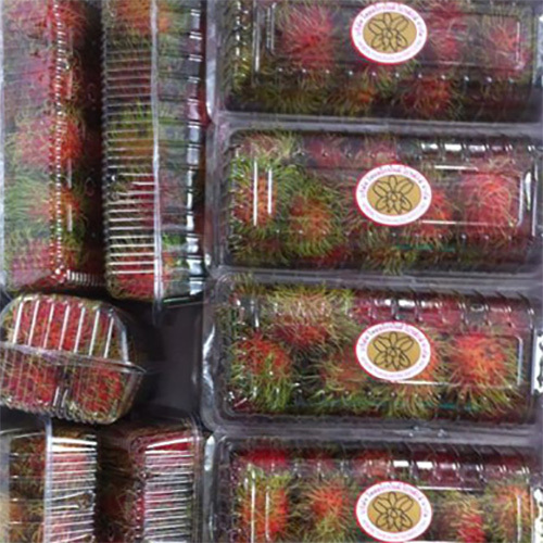 Fresh Rambutan
