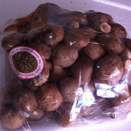 Dried Shitake Mushroom