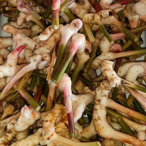 Fresh Galangal