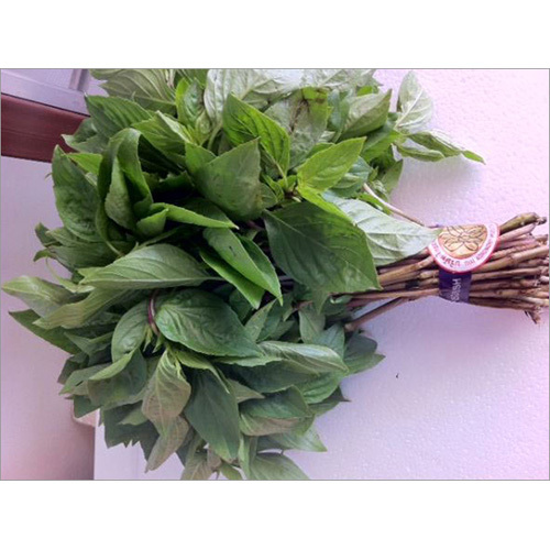 Holy Bail Leaves
