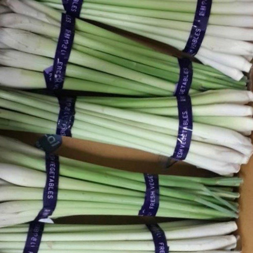 Lemon Grass