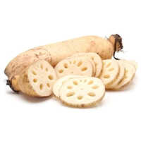 Lotus Root