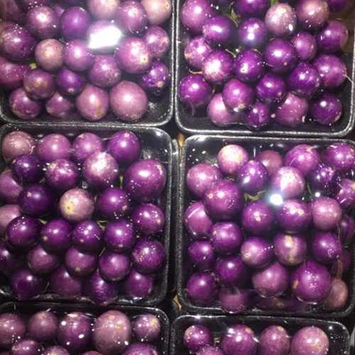 Thai Eggplant