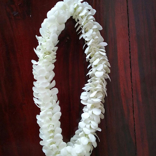 White Garland