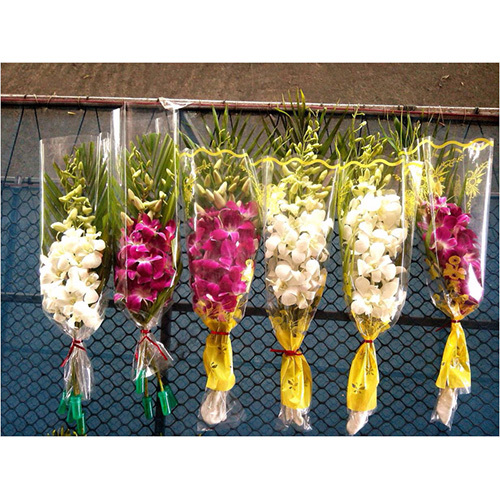 Orchid BQ