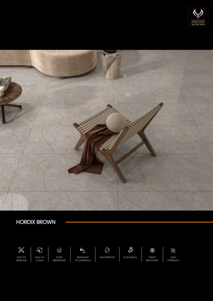 2x4 Glossy Vitrified Tiles