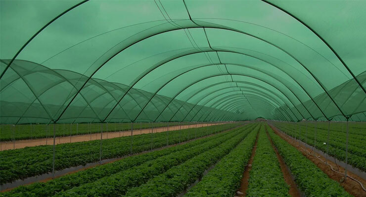 Agricultural Shade Net