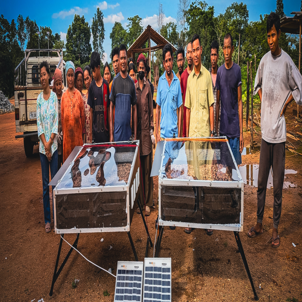 Solar Dryer For Herbs