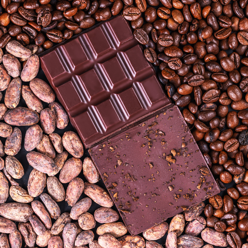 Cocoa Beans - Application: Bakery