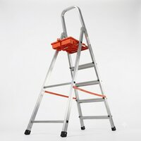 Self Support Ladder