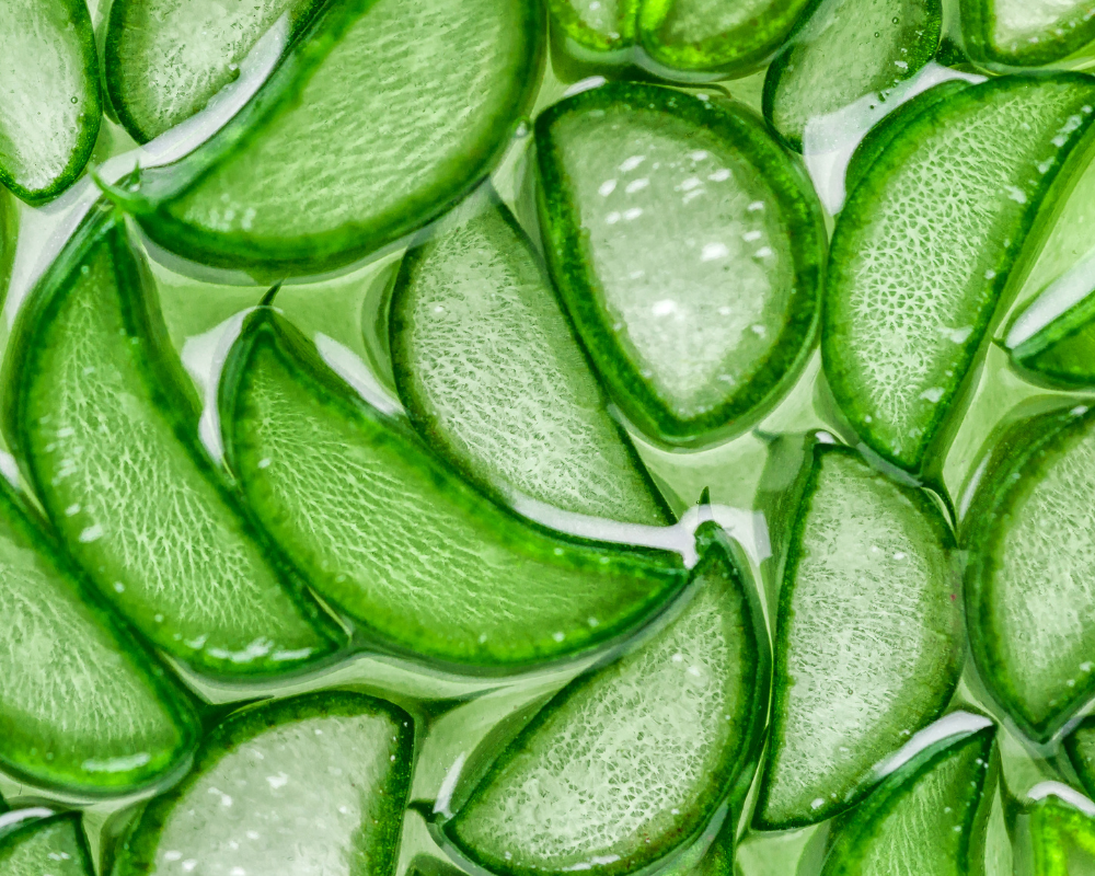 DRY ALOE VERA POWDER
