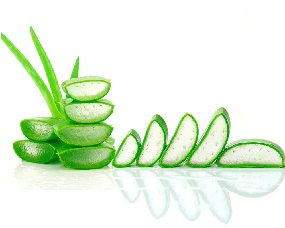 DRY ALOE VERA POWDER