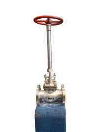 Cryogenic Long Stem Globe Valve