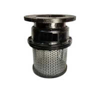 2 Inch Cast Iron Foot Valve