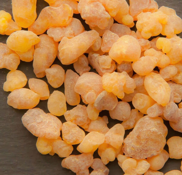 Boswellia Serrata Extract - 25kg Fine Powder, 99% Purity, Pharmaceutical & Food Grade, Solvent Extracted, Non-Toxic
