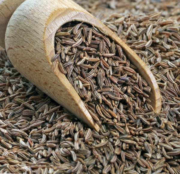Ajwain CO2 Extract Oil