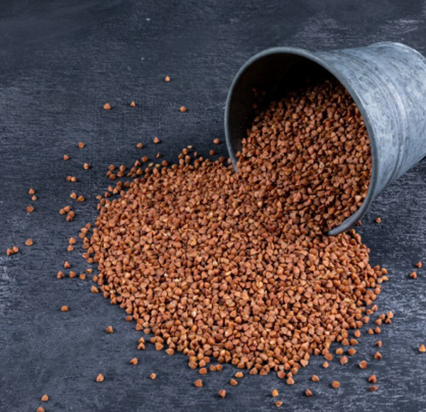 Ambrette Seed CO2 Extract Oil