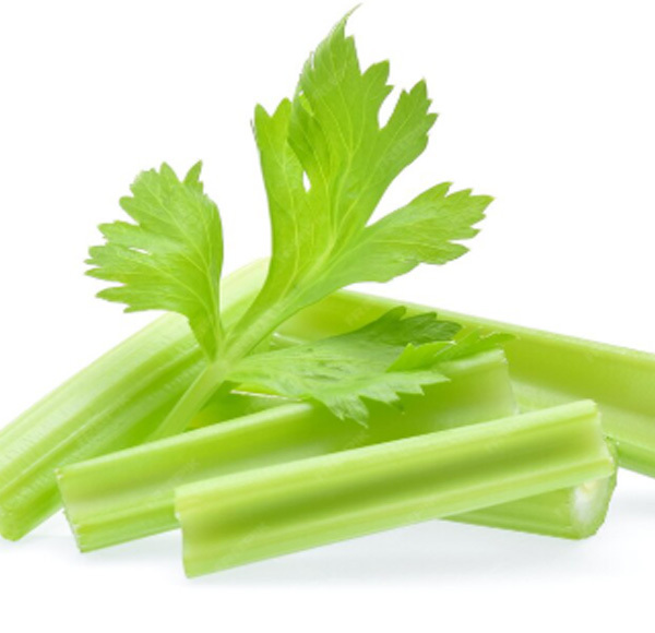 Celery CO2 Extract Oil