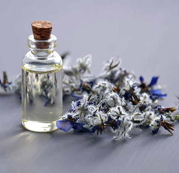 Borage Cold Pressed Oil