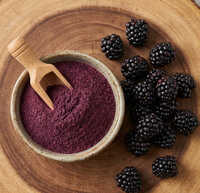 Blackberry Fruit Spray Dried Powder - Fine Deep Purple Powder, Water Soluble, Allergen Free, No Additives
