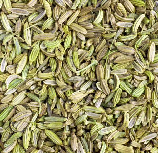 Fennel Seeds