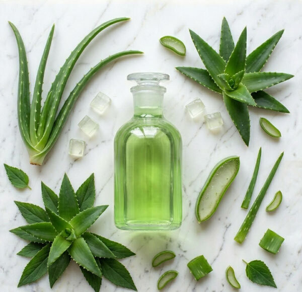 Aloe Vera Liquid Extract
