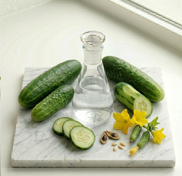 Cucumber Liquid Extract
