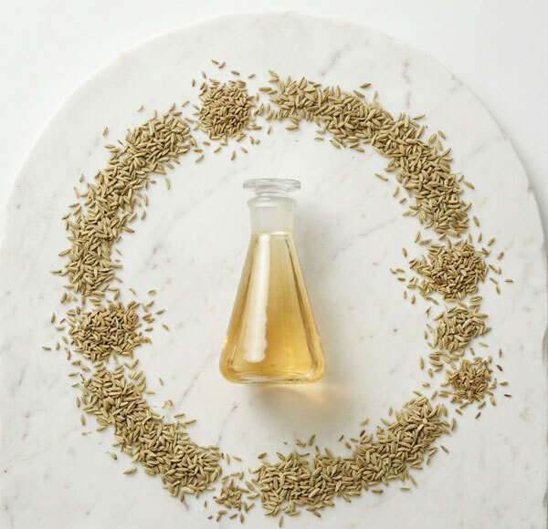 Fennel Liquid Extract