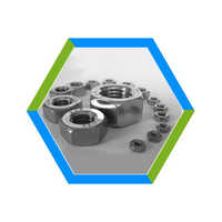 Hex Machine Screw Nuts