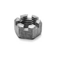 Slotted Hex Nuts