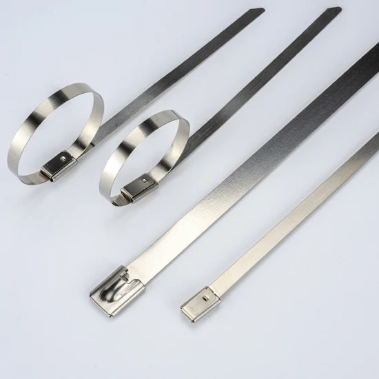 CABLE SS TIE (300MM *4.6MM SILVER)