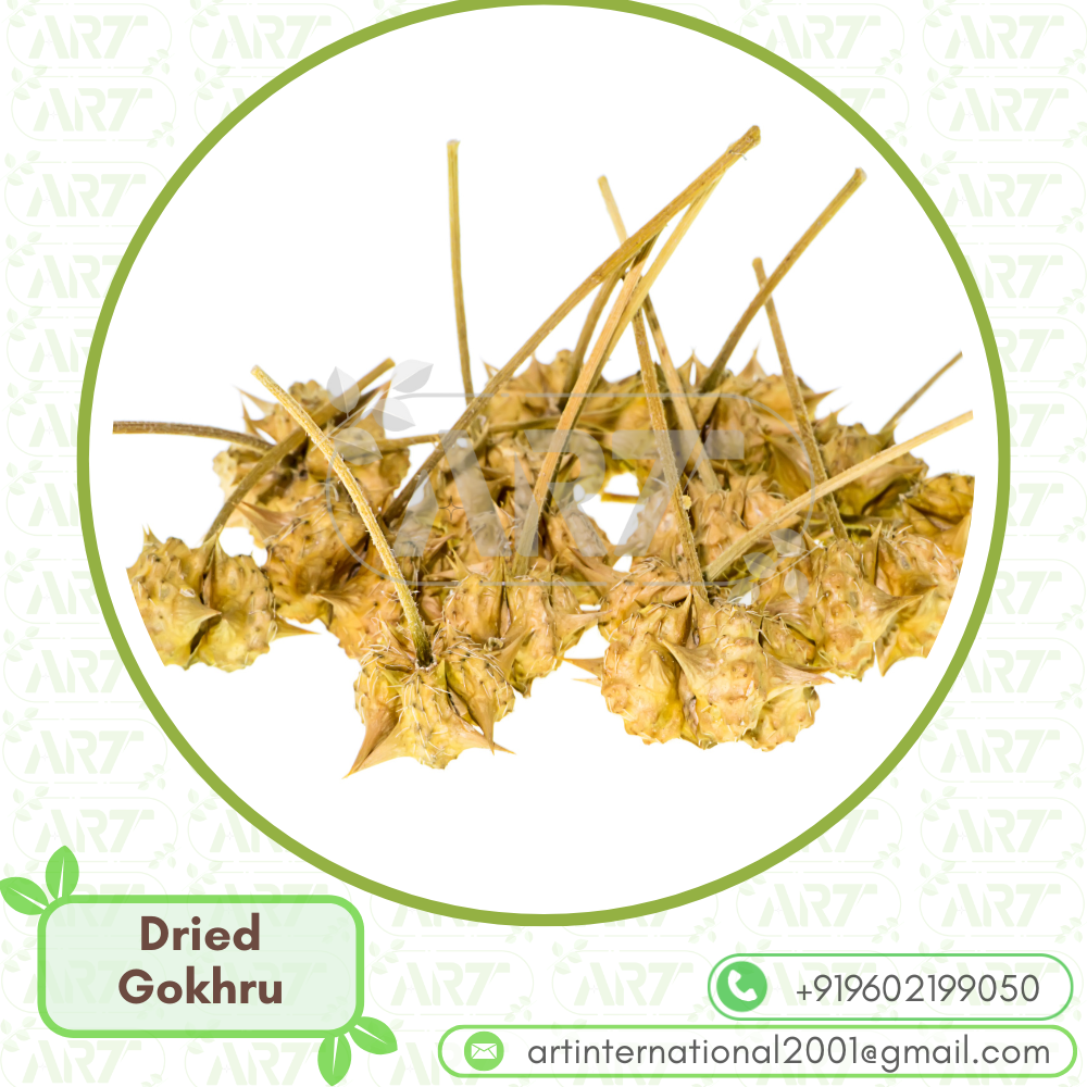 Tribulus Terrestris