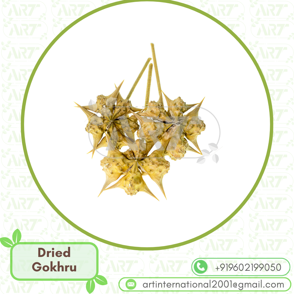 Tribulus Terrestris