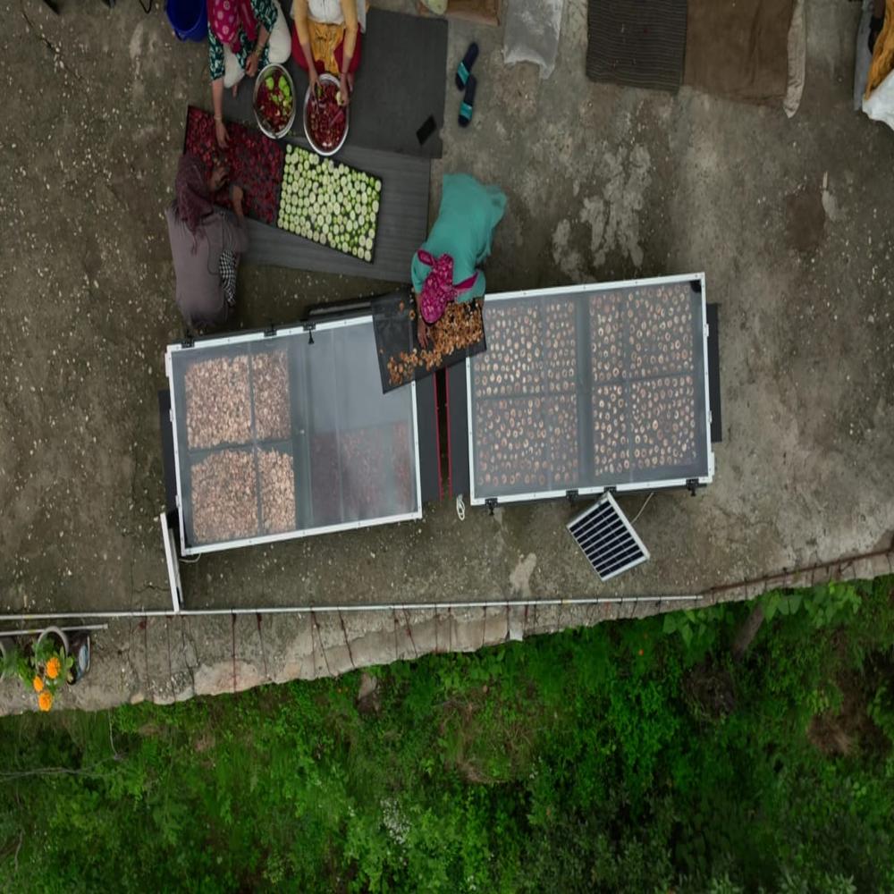 Solar Dryer For Fruits
