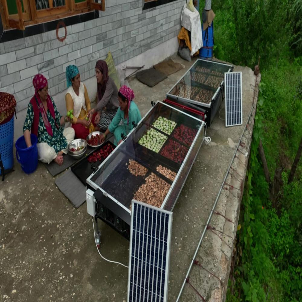 Solar Dryer For Fruits
