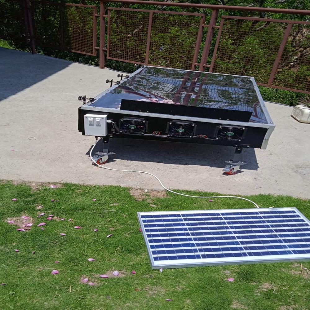 Solar Dryer For Fruits