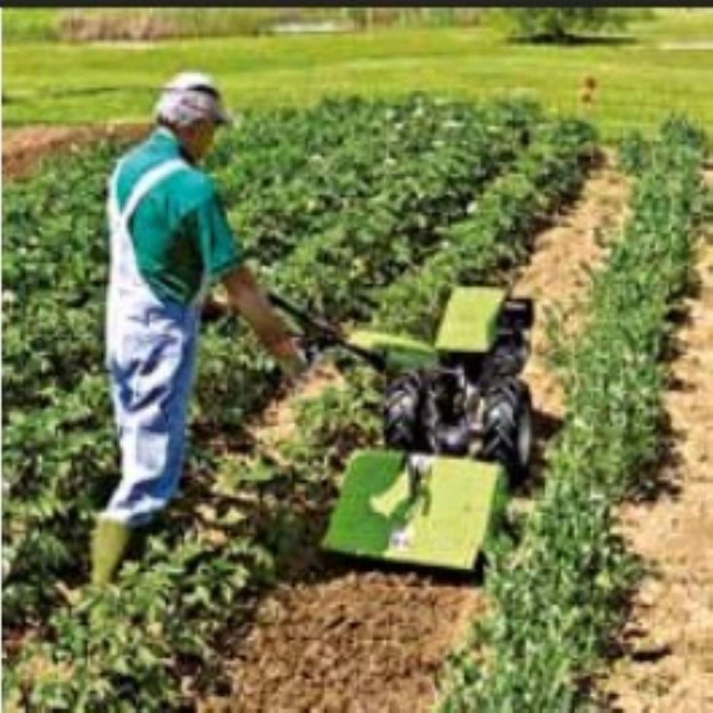 Grillo Power Tiller - Capacity: Na Kg