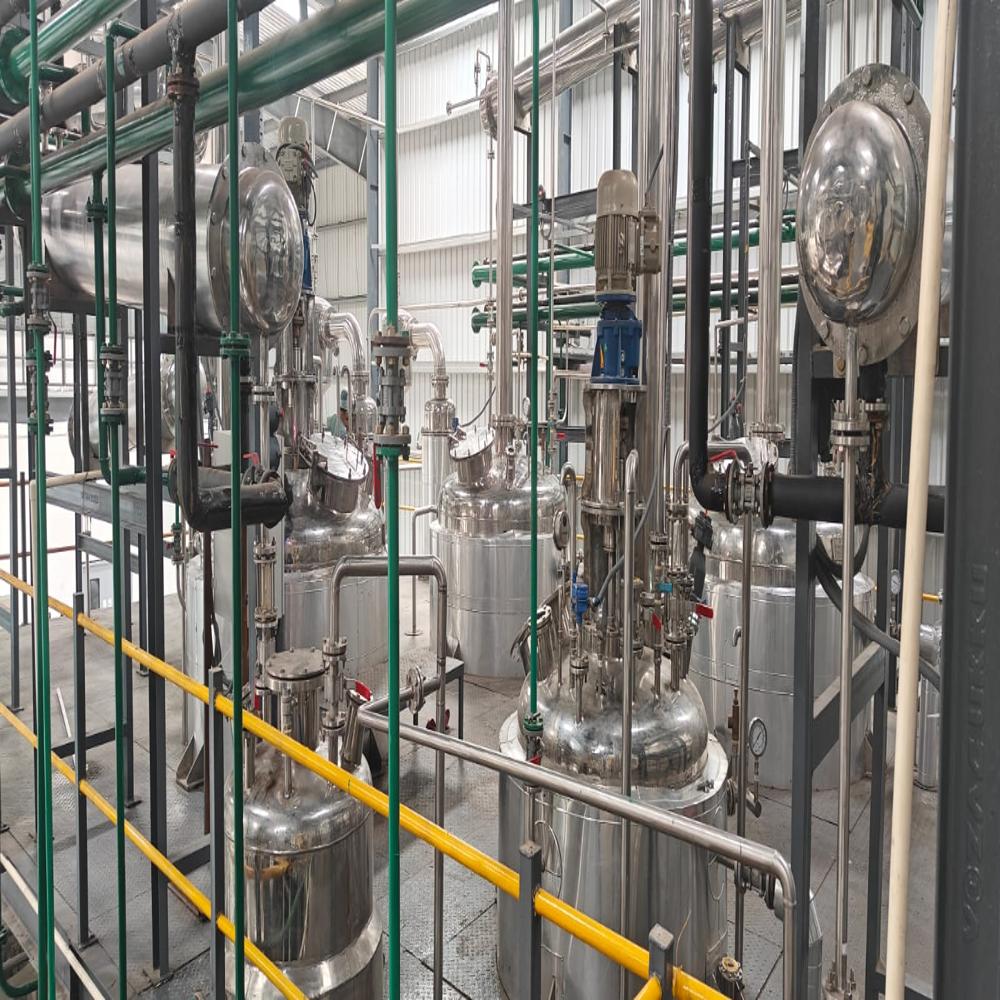 Triphala Extract Plant - Capacity: 1 Ton/day