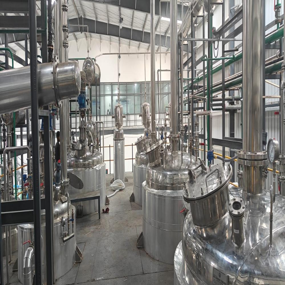 Triphala Extract Plant - Capacity: 1 Ton/day