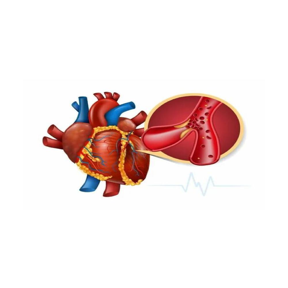Cardiac Hospitals Turnkey Projects