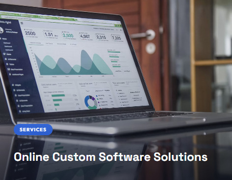 Online Custom Software Solutions