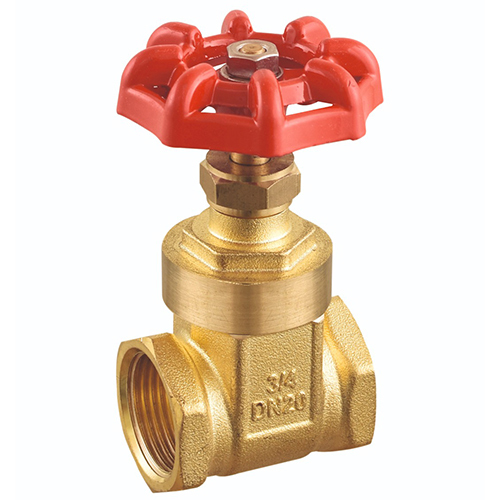 20mm Gate Valve
