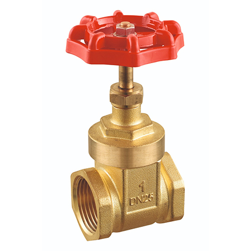 25mm Gate Valve
