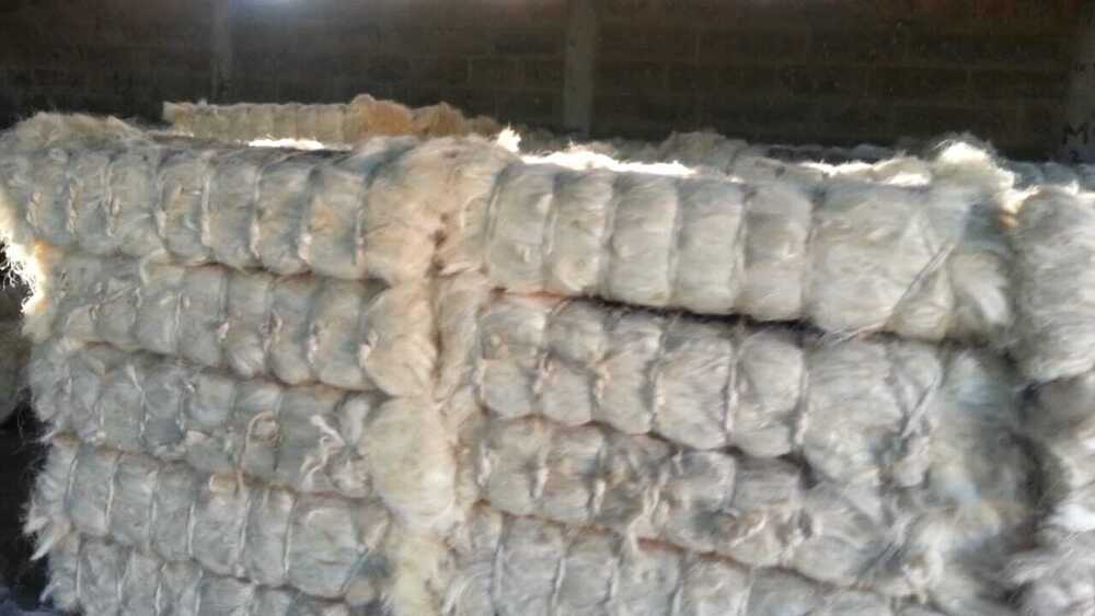 Sisal Fiber Scrap