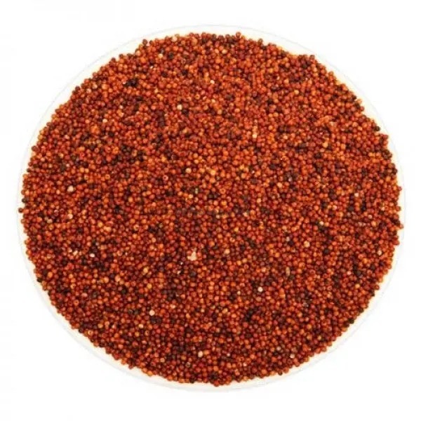Ragi Millet