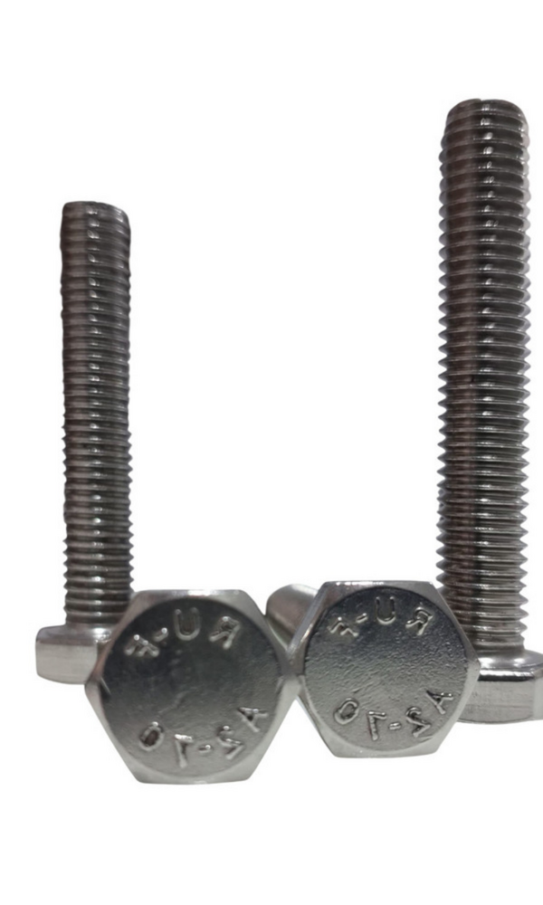 SS Hex Bolt