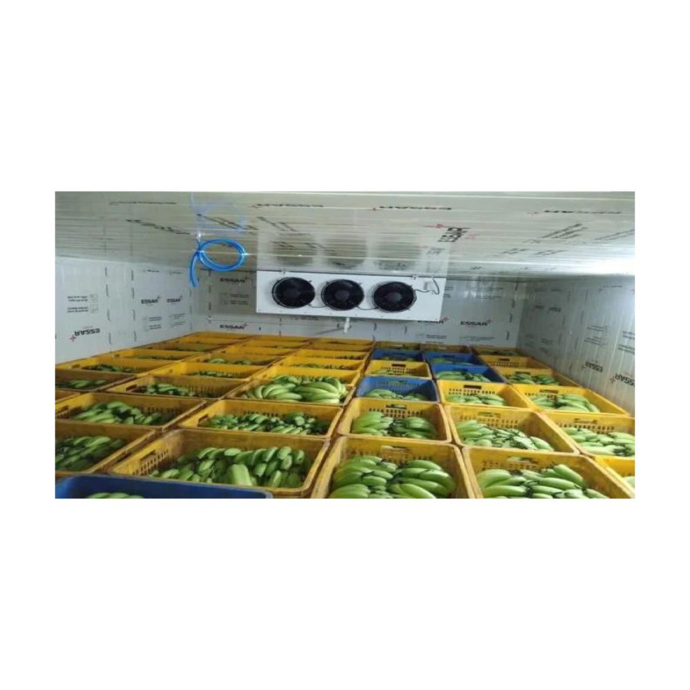 Fruit Ripening Chambers